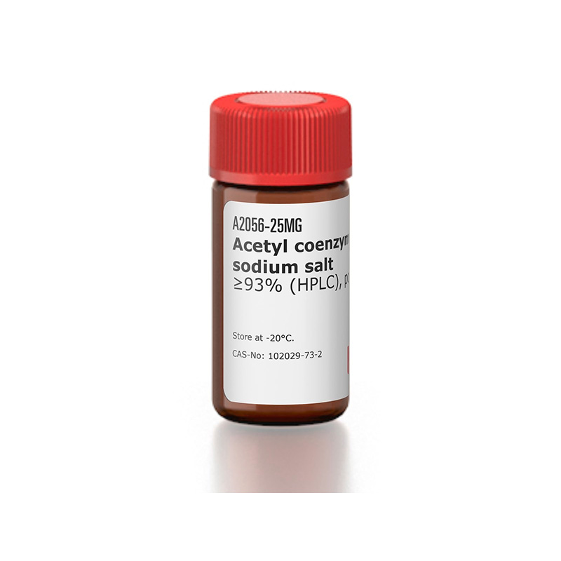Acetyl coenzyme A trisodium salt, ≥93 (HPLC), powder Labchem Catalog