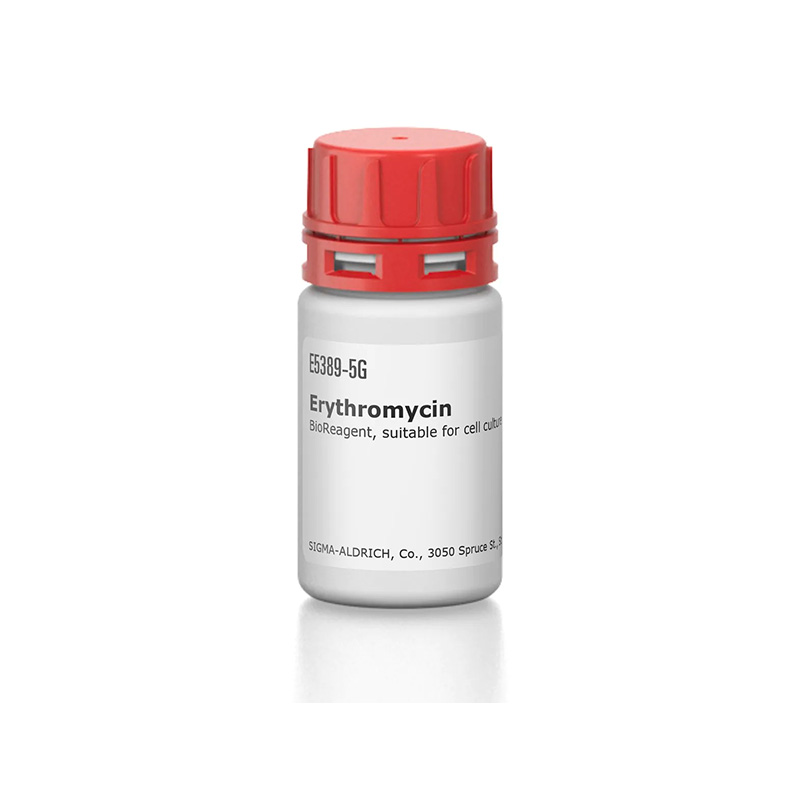 Erythromycin, BioReagent, suitable for cell culture Labchem Catalog