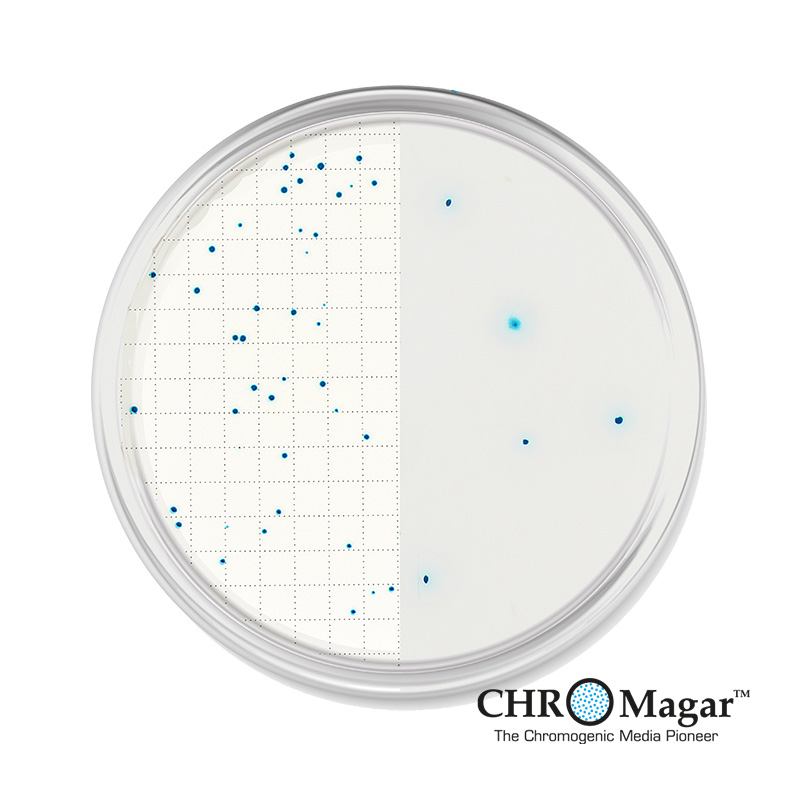 CHROMagar™ TBX - Labchem Catalog