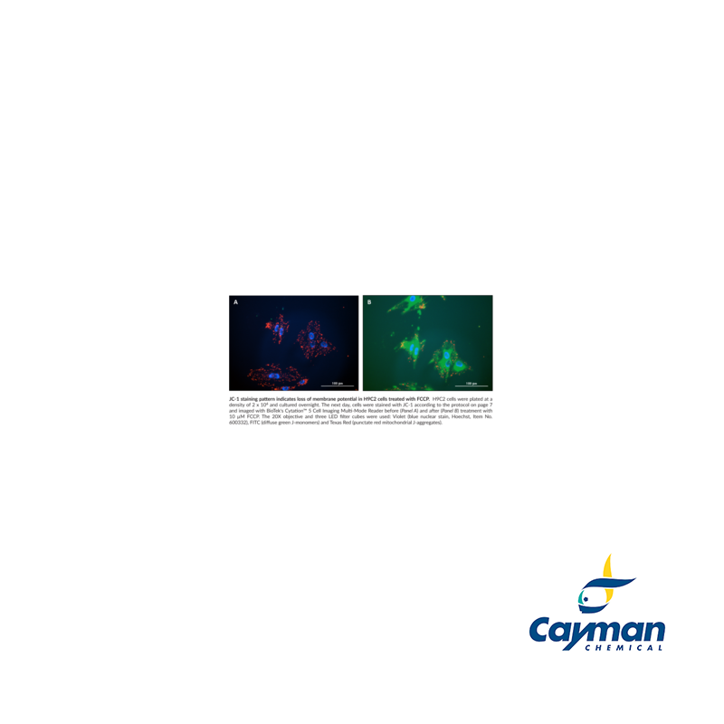 JC-1 Mitochondrial Membrane Potential Assay Kit - Labchem Catalog