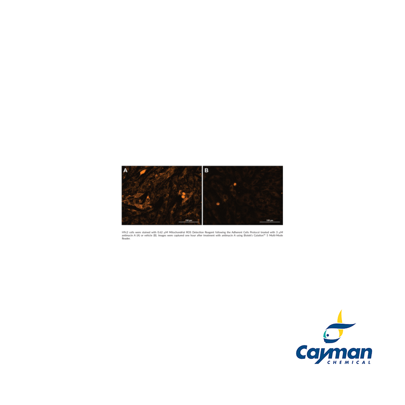 Mitochondrial ROS Detection Assay Kit - Labchem Catalog